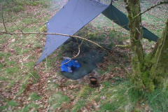 3_Morning_Tarp