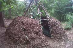 Bushteepee-1