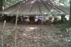 IMG00718-20140623-1606