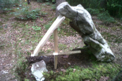 IMG00858-20140628-0851